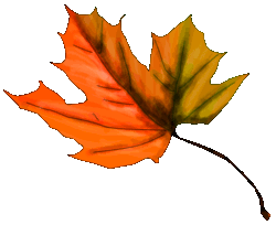 leaf