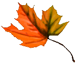 leaf gutters